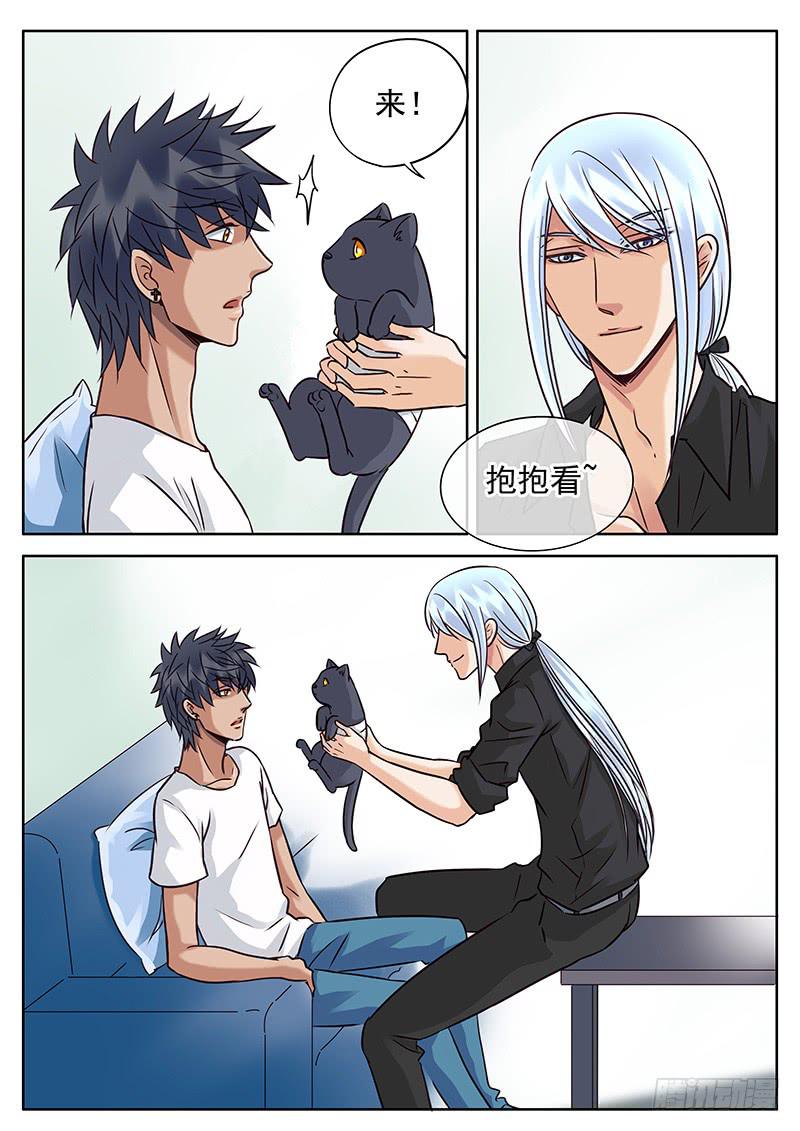 030 逗猫3