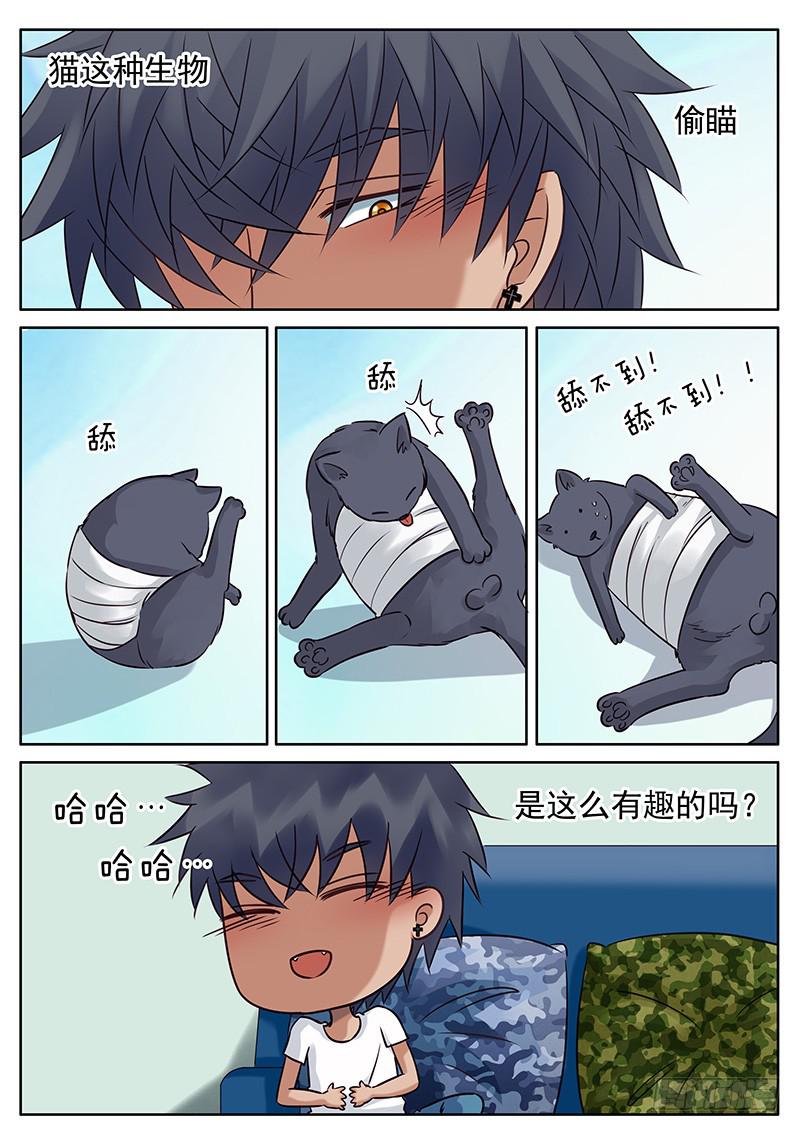 030 逗猫5