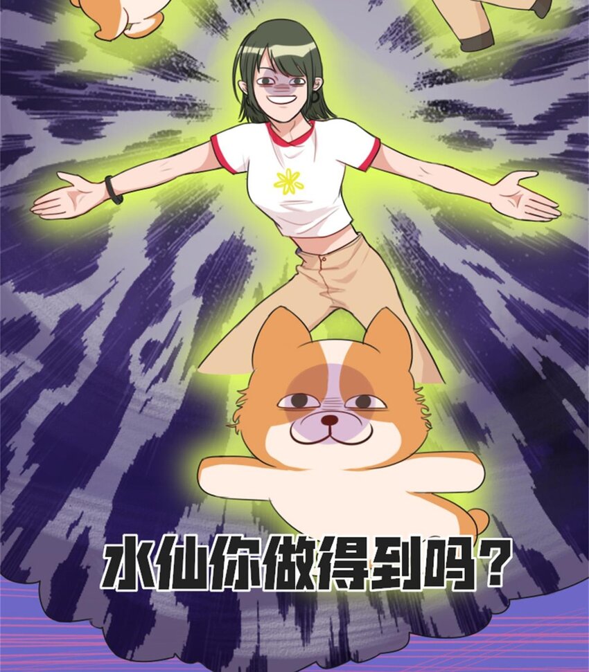 003 贱宠萌宠8