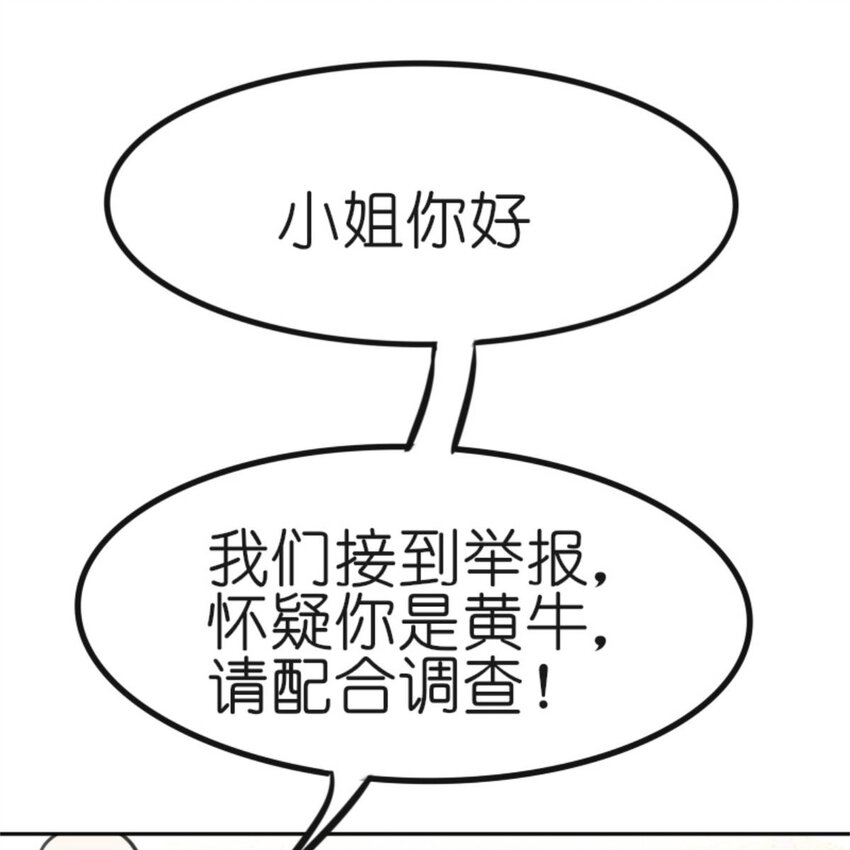 31 黄牛13