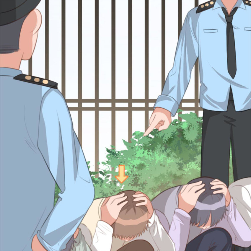 31 黄牛46