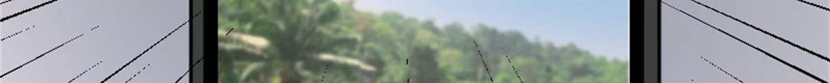 锦鲤9