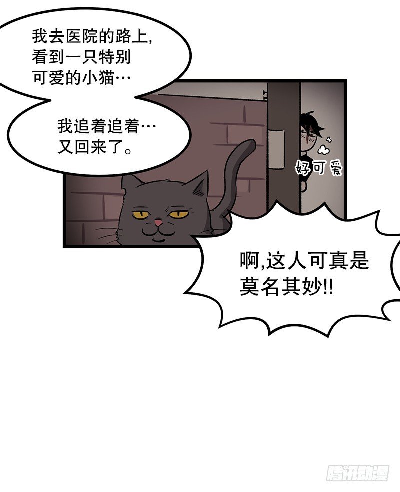同样的套路17