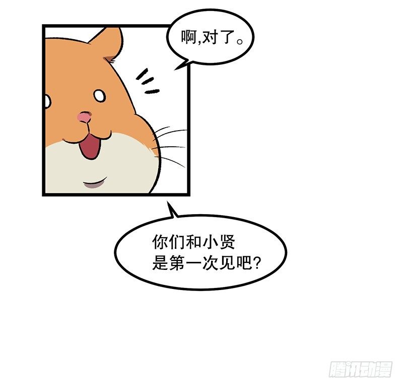 神赐的美食12