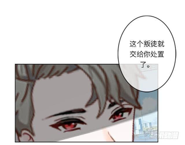 「第三十七章」还真是讽刺4