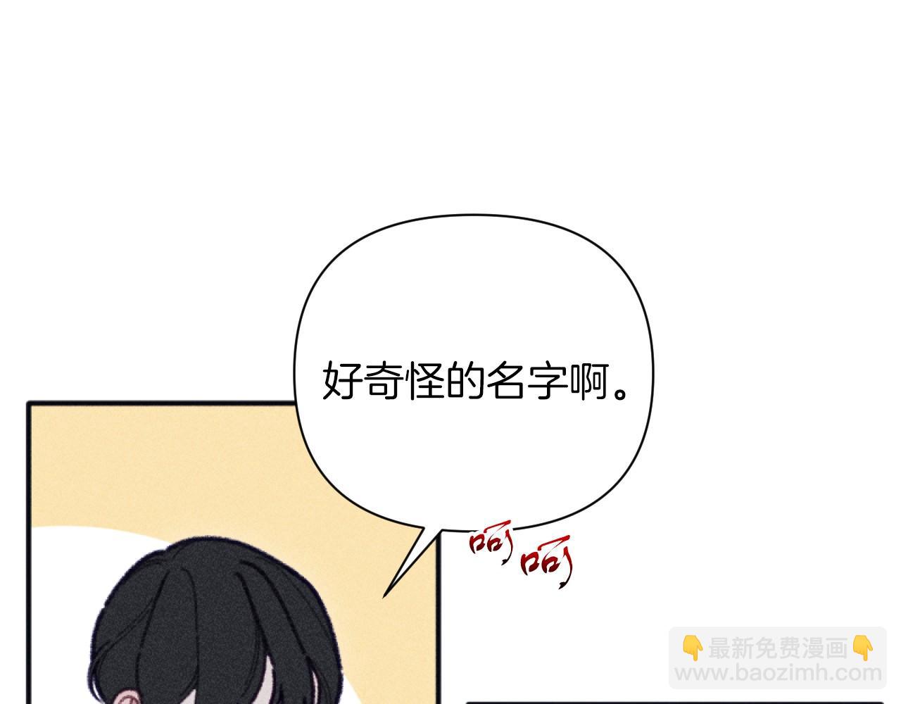 完结篇 发现宝石39