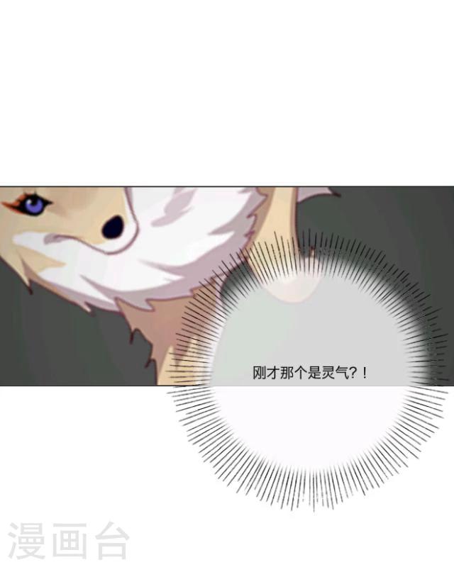 第13话 情初55
