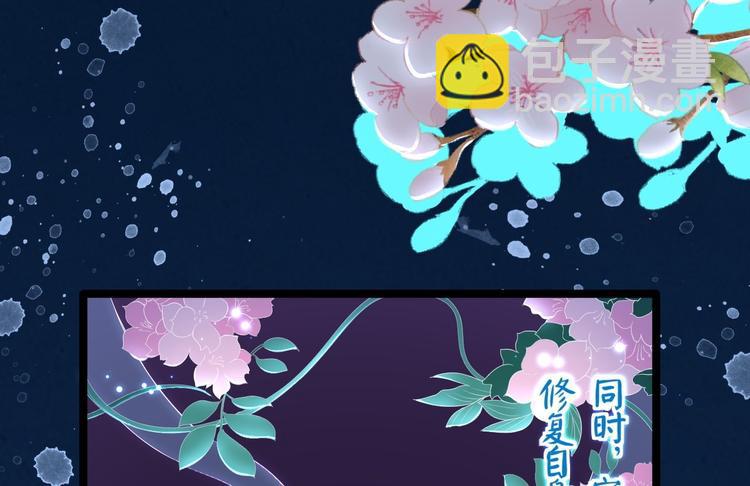 第5话 乾坤卷13