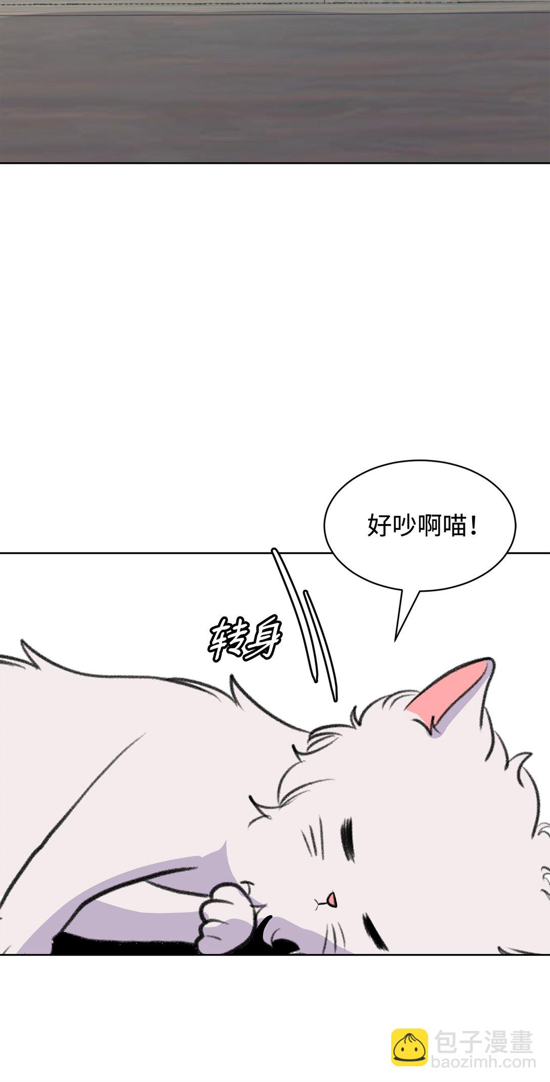 54 云芝的一天40