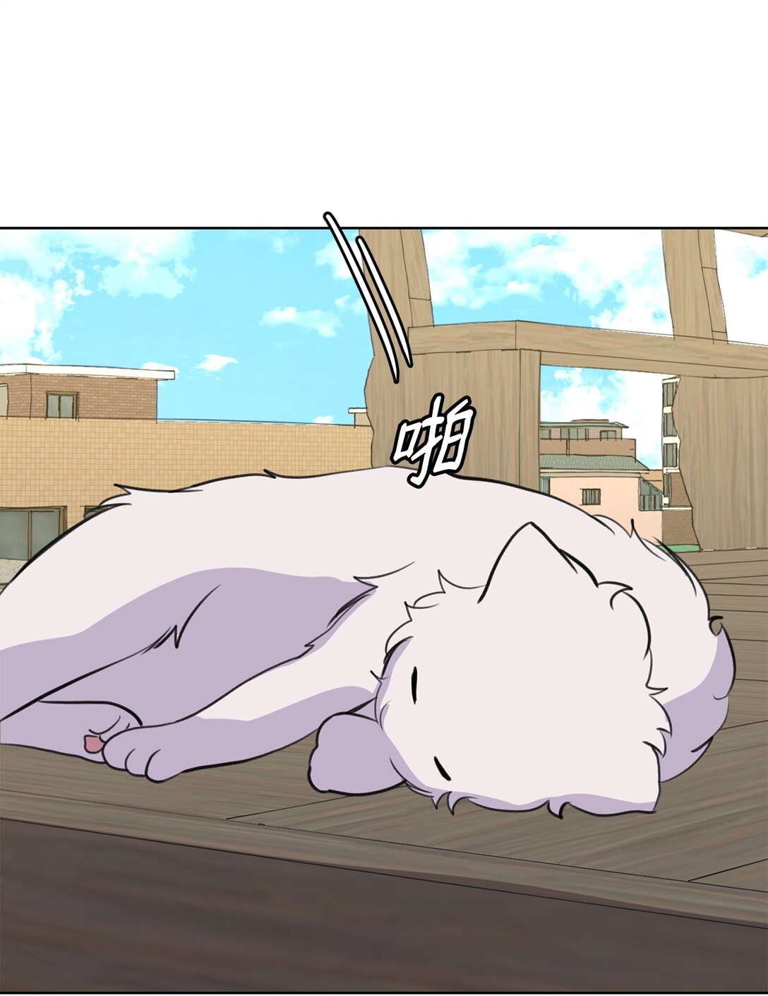 54 云芝的一天58