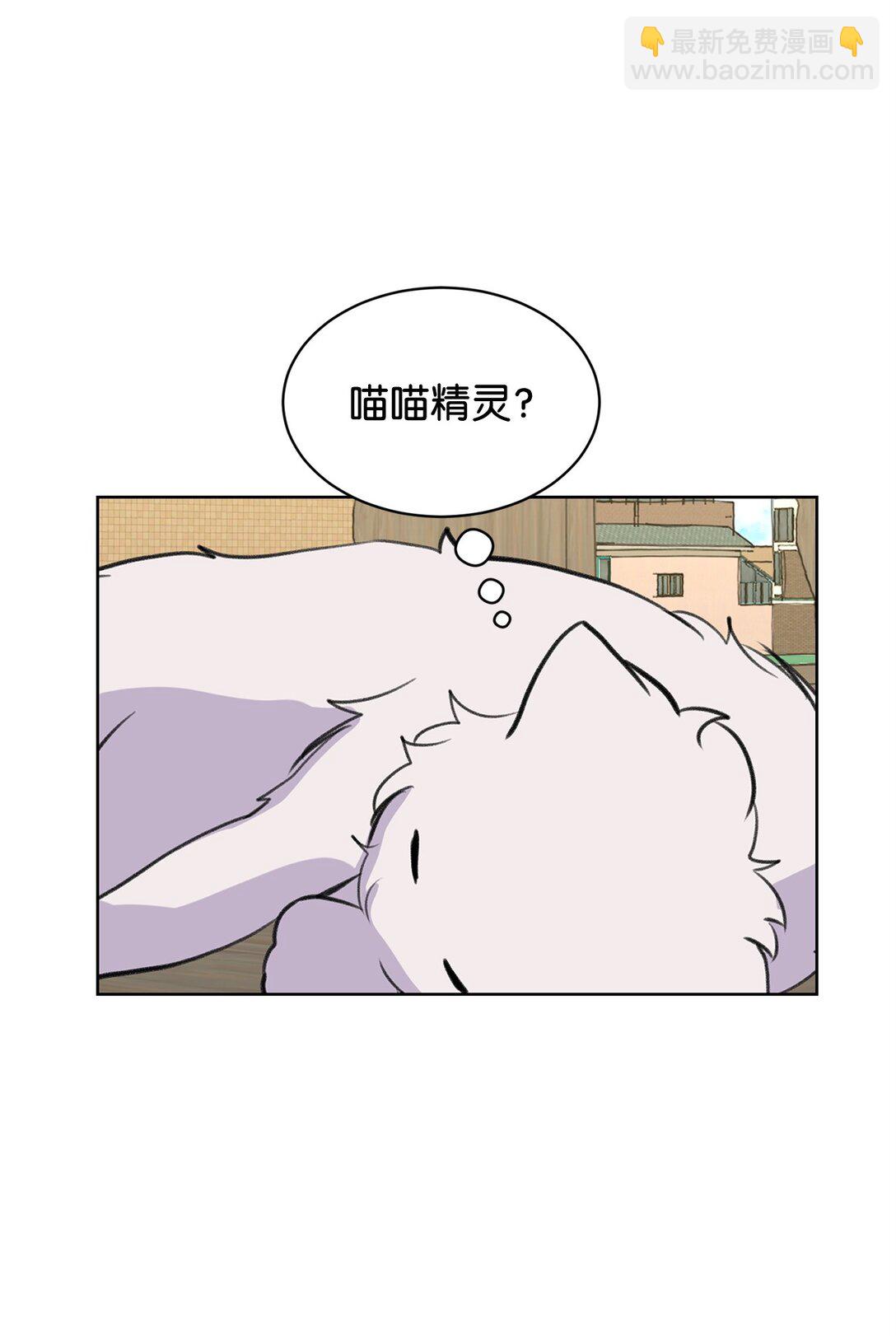 54 云芝的一天61