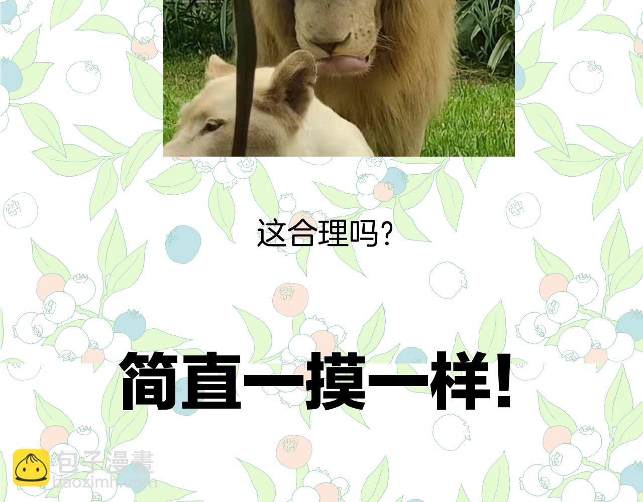 休刊问答311