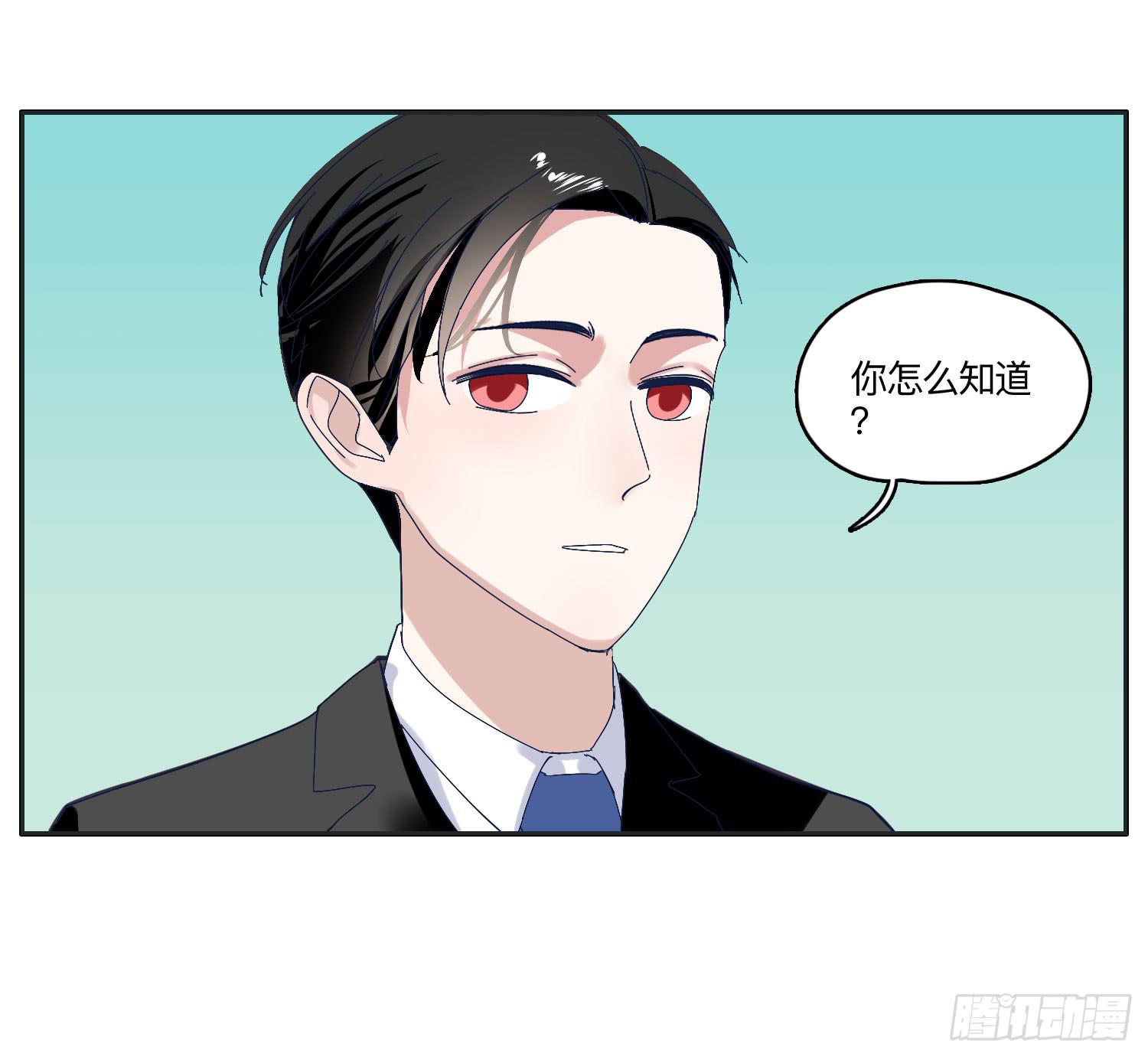 闪闪突如其来的告白11