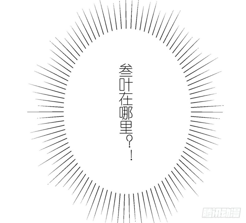 新的开始12