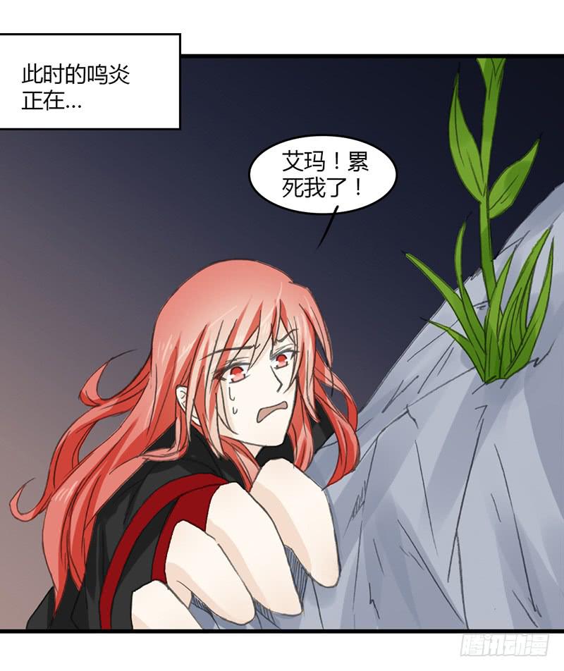 鸣炎未归17