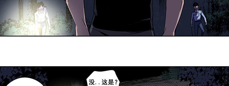37-消逝的生命（下）19