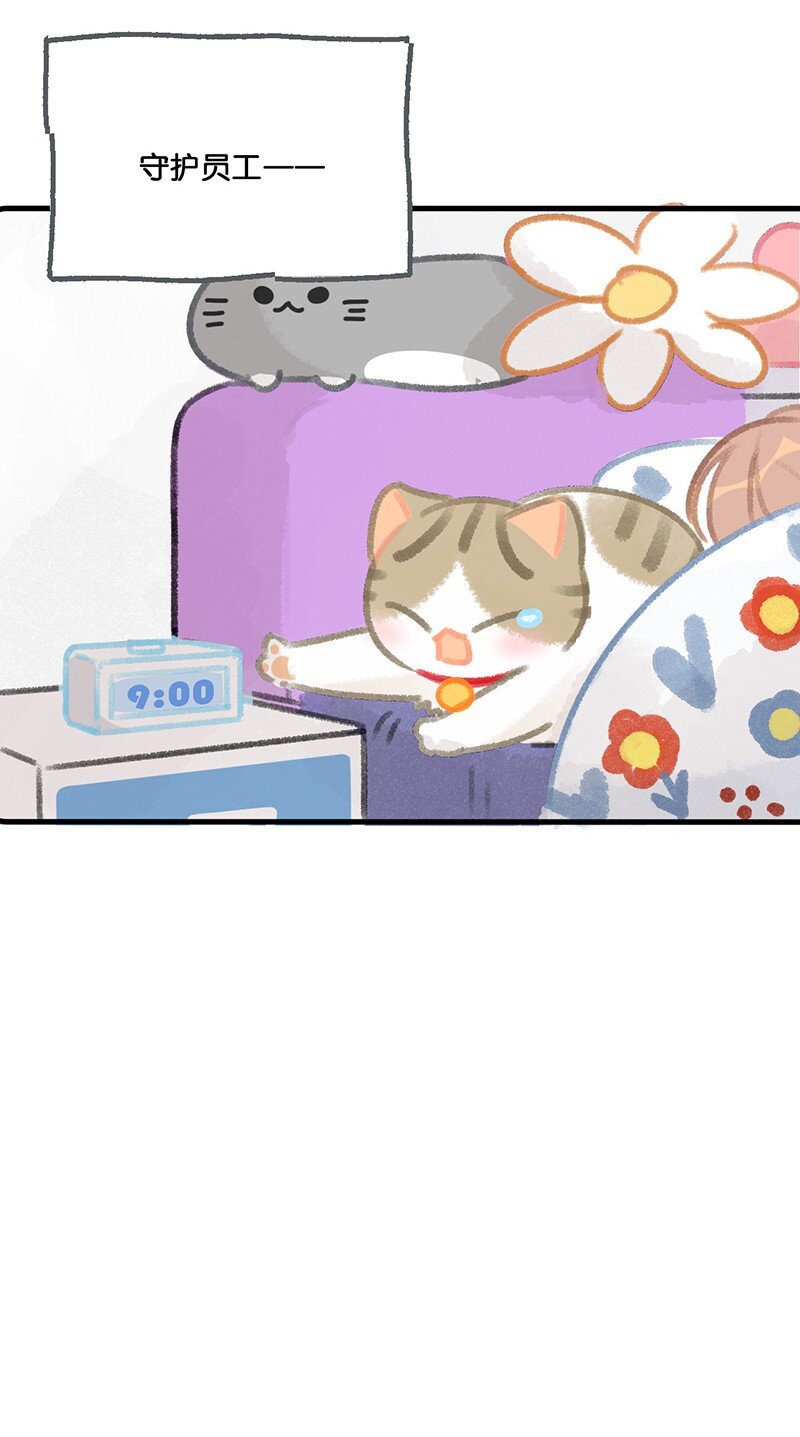33 居家办公！12