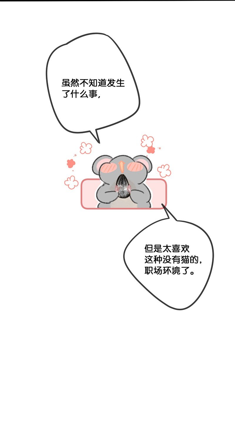 33 居家办公！20