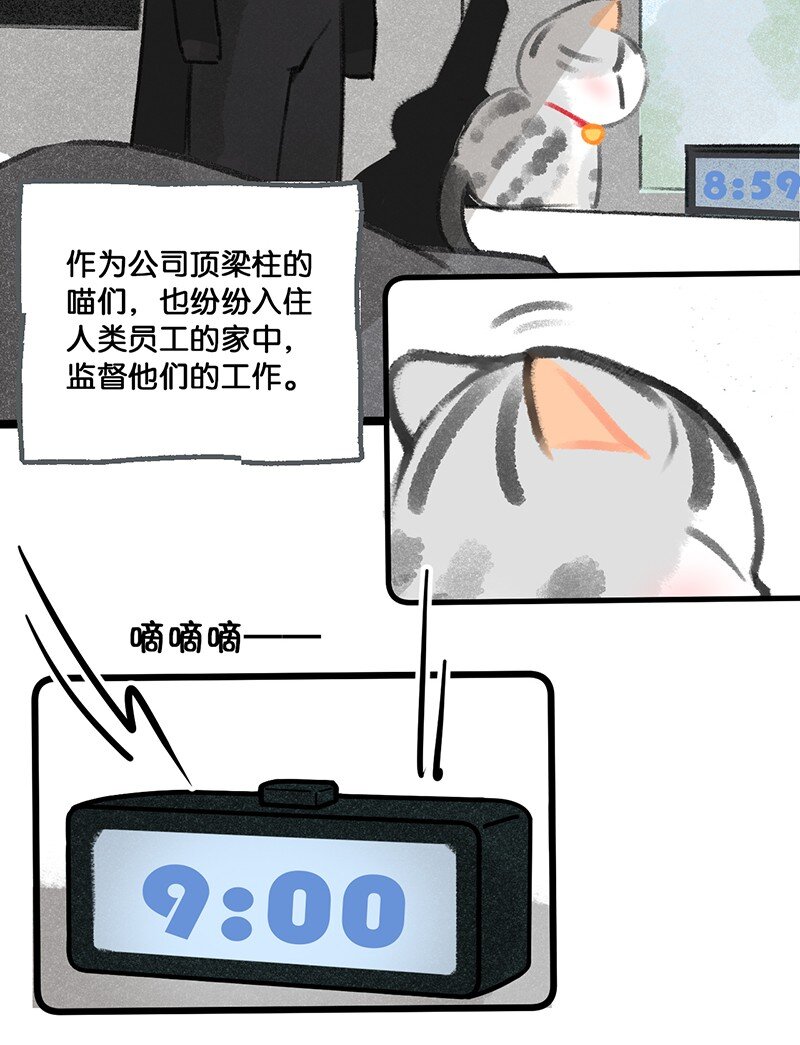 33 居家办公！4