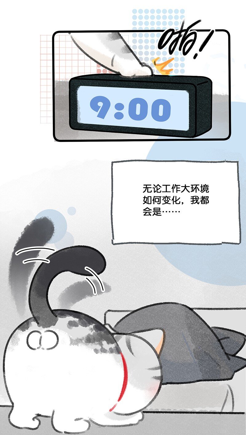 33 居家办公！5