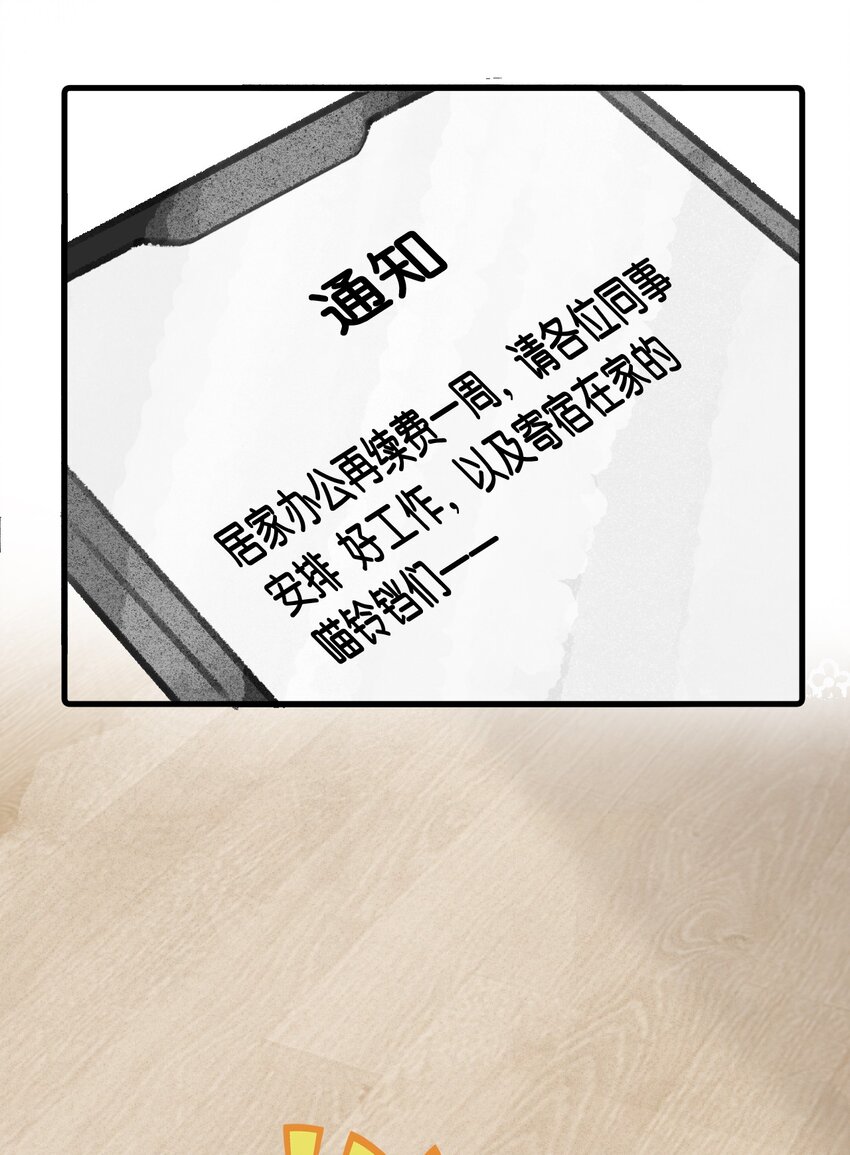 35 球球快点正常上班吧！12