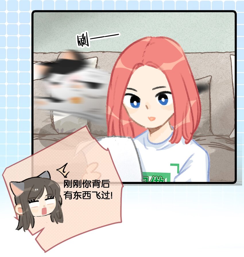 35 球球快点正常上班吧！7