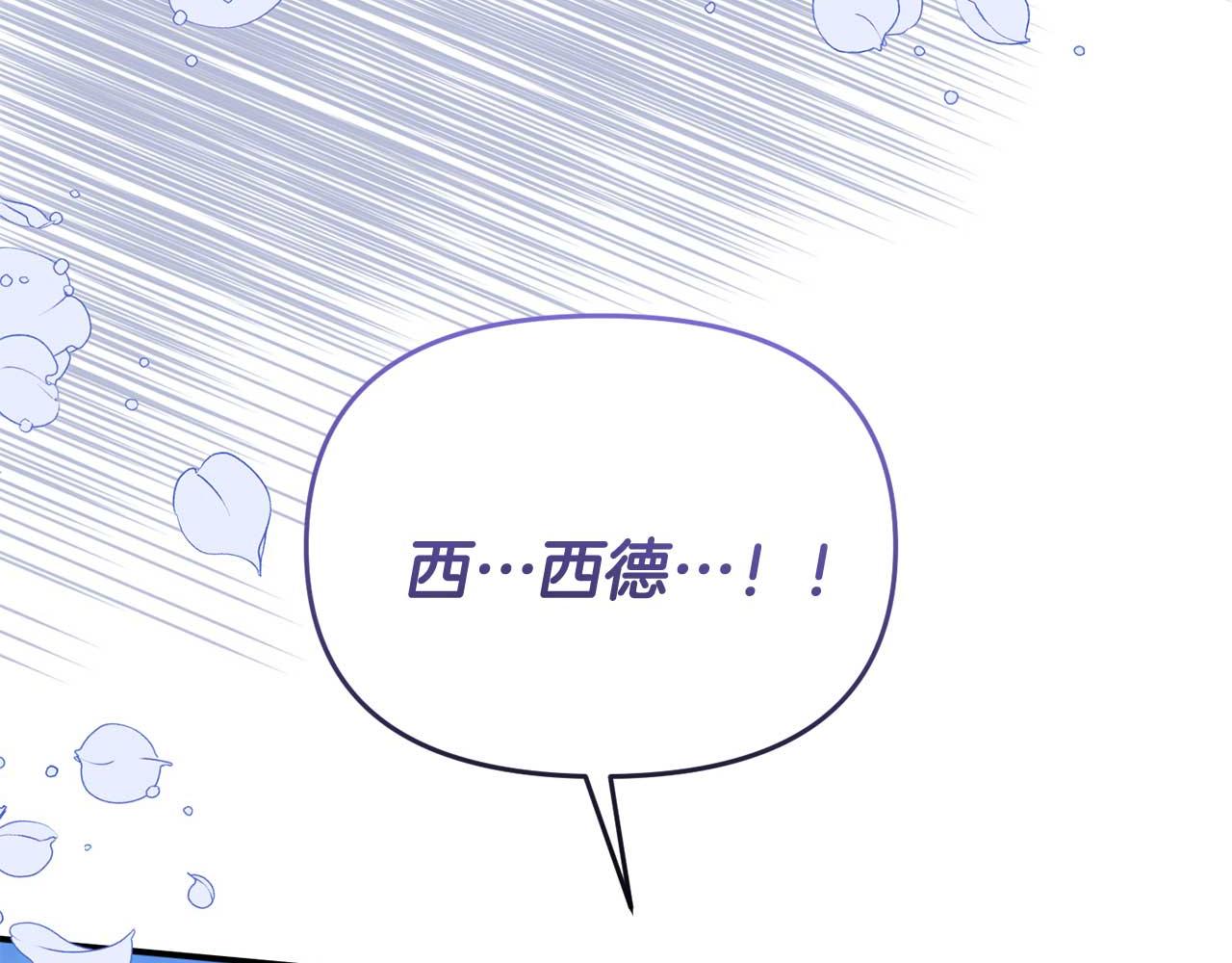 第60话 魔法阵166