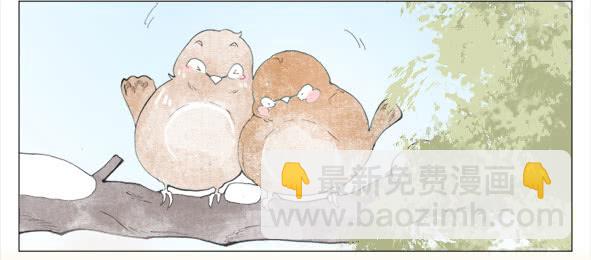 摄影任务31