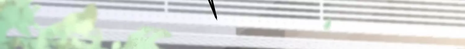 17 如果是跟我联姻，你行吗？48