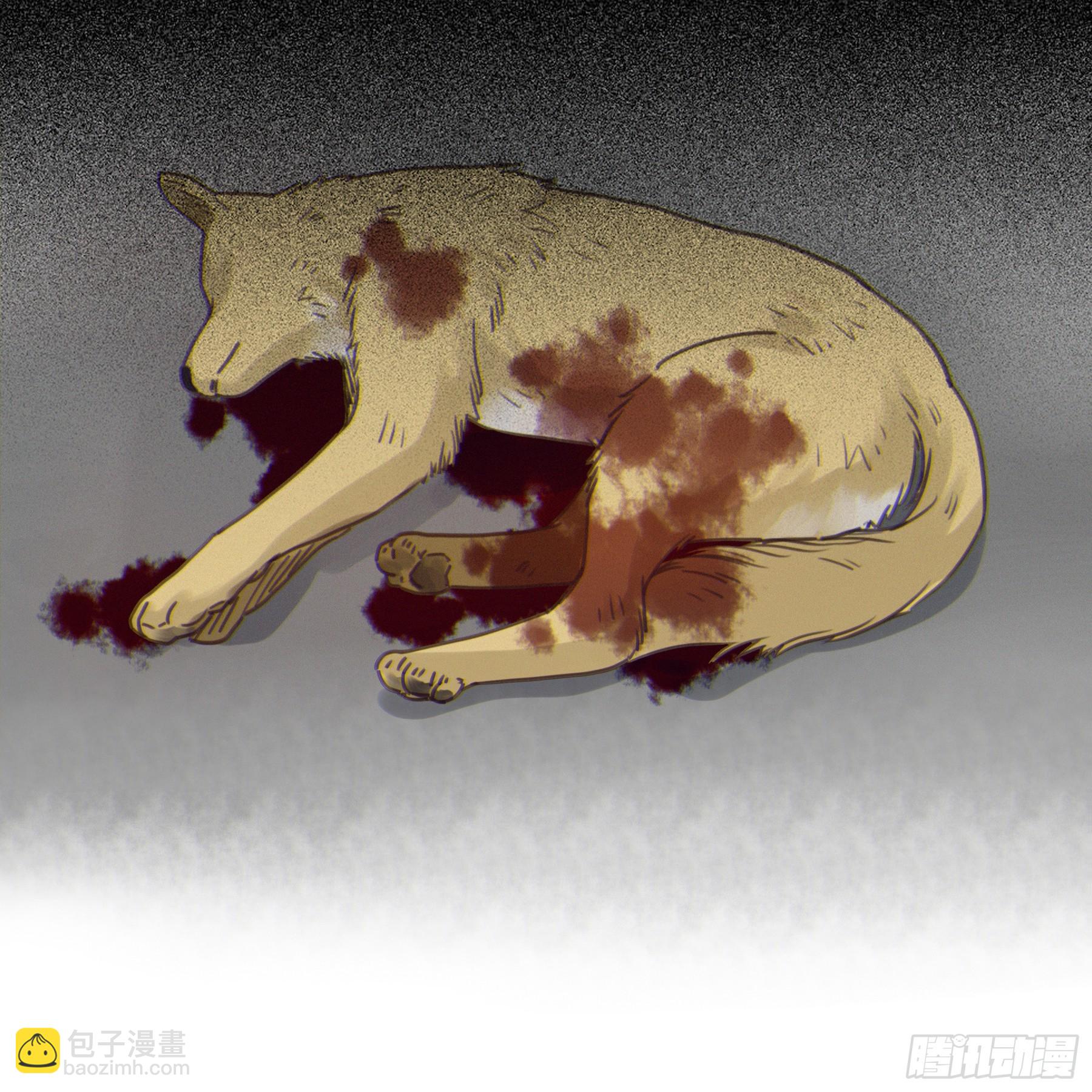 03.抉择64