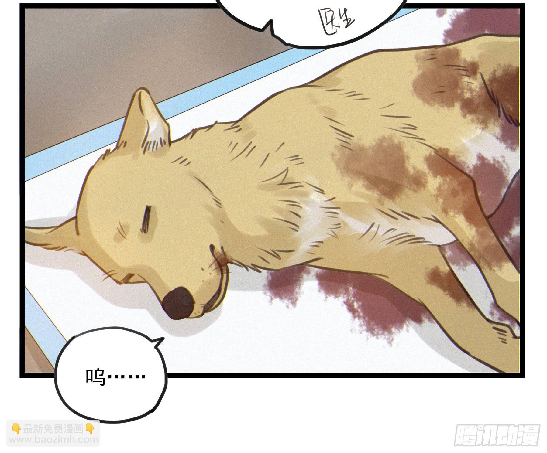 03.抉择69