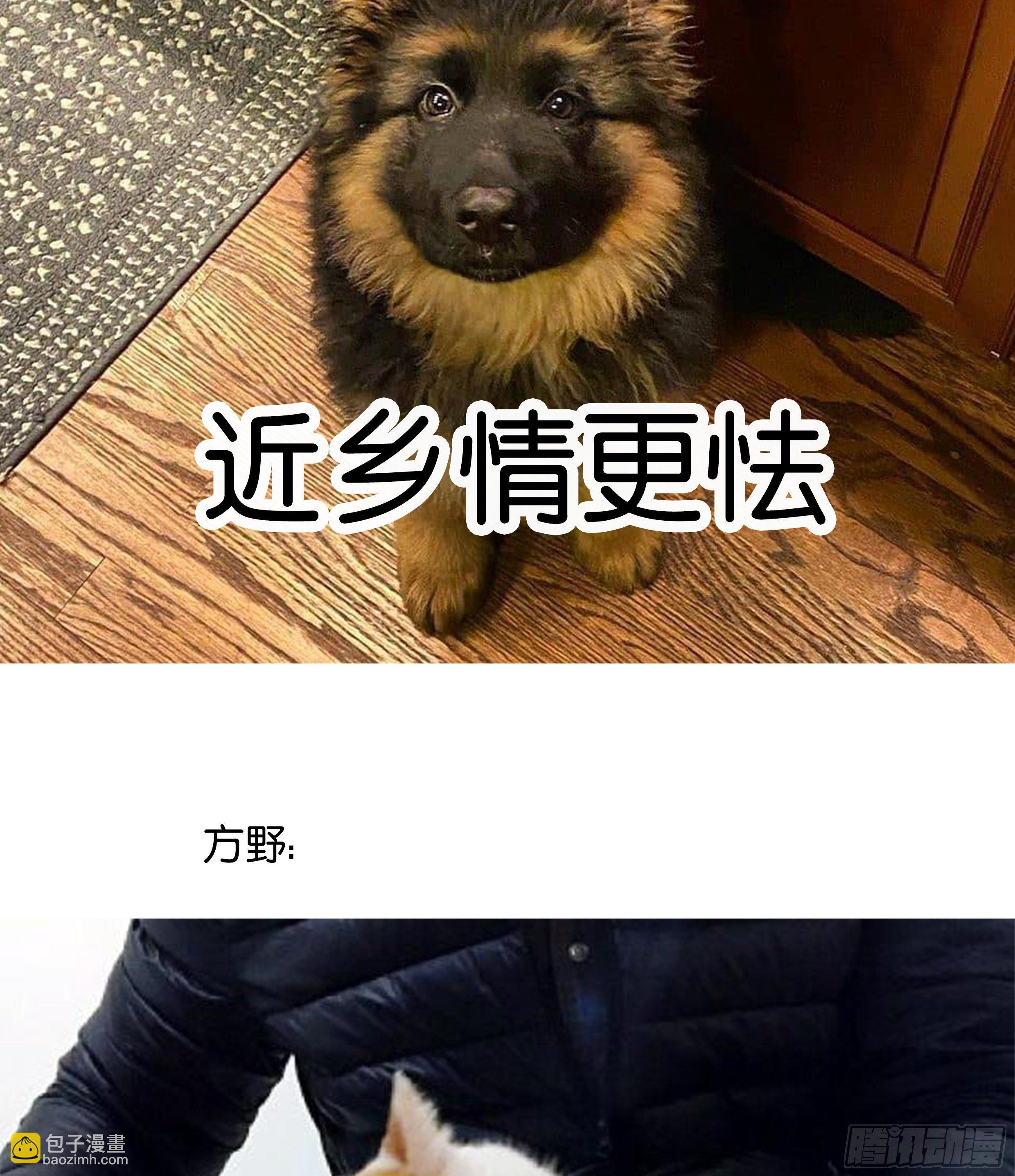 21. 月光下的秘密75