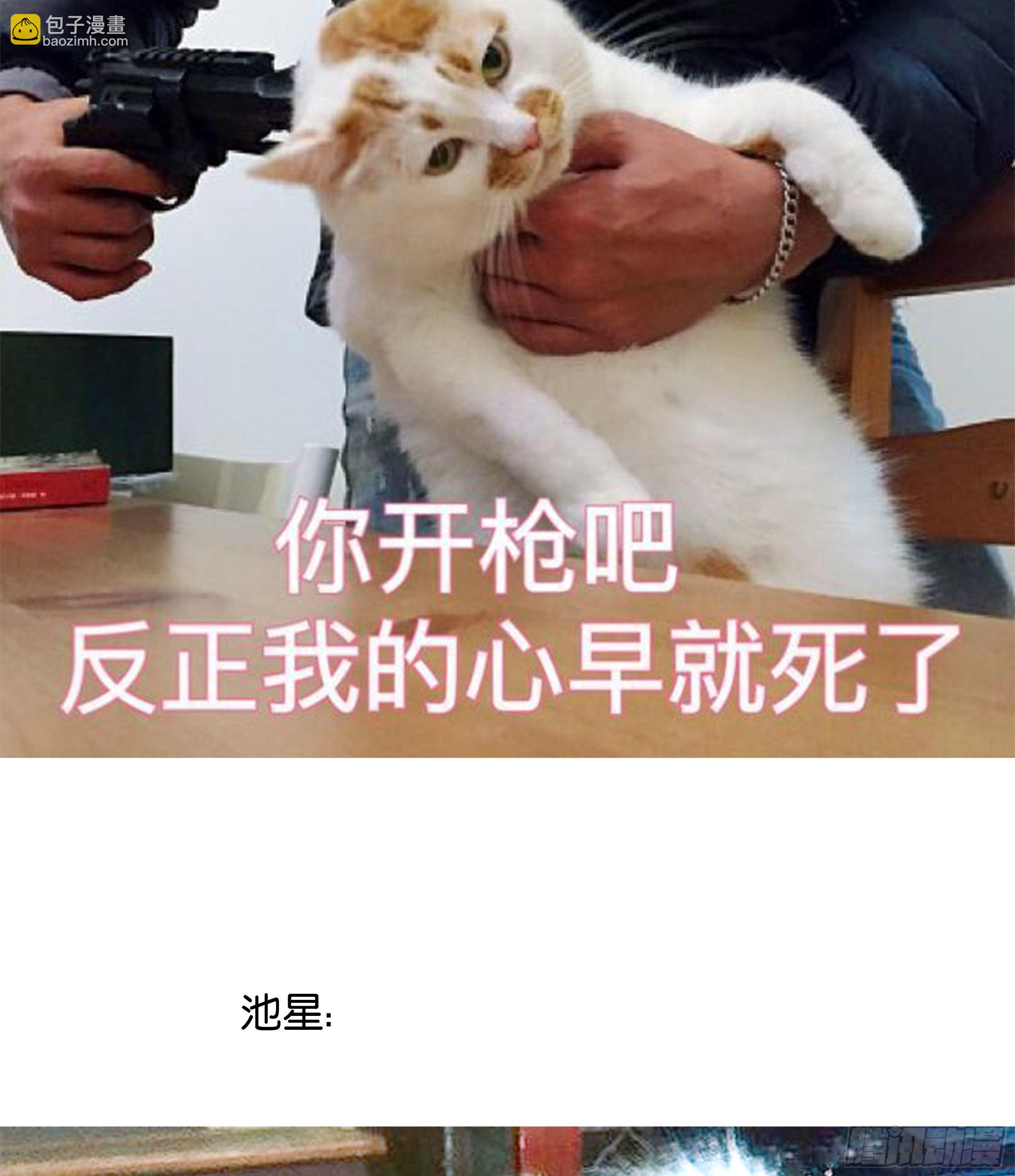 21. 月光下的秘密76