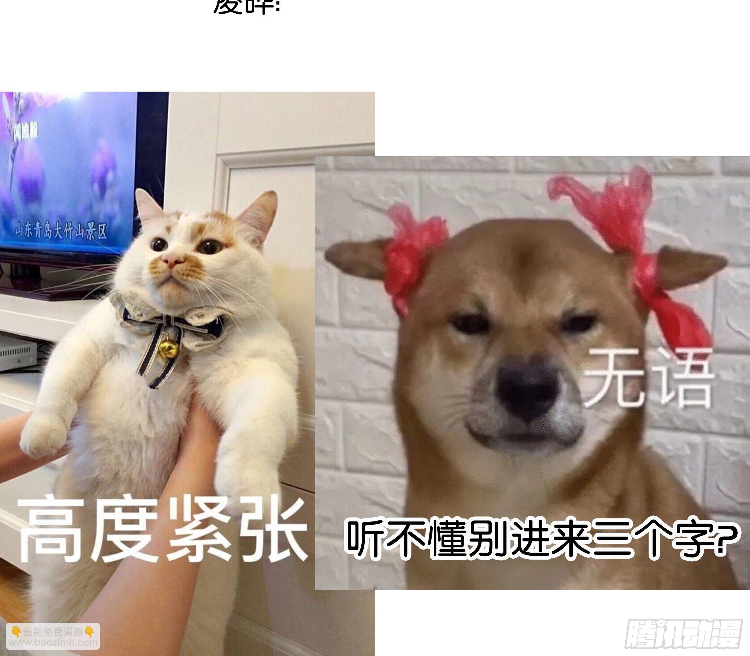 21. 月光下的秘密78