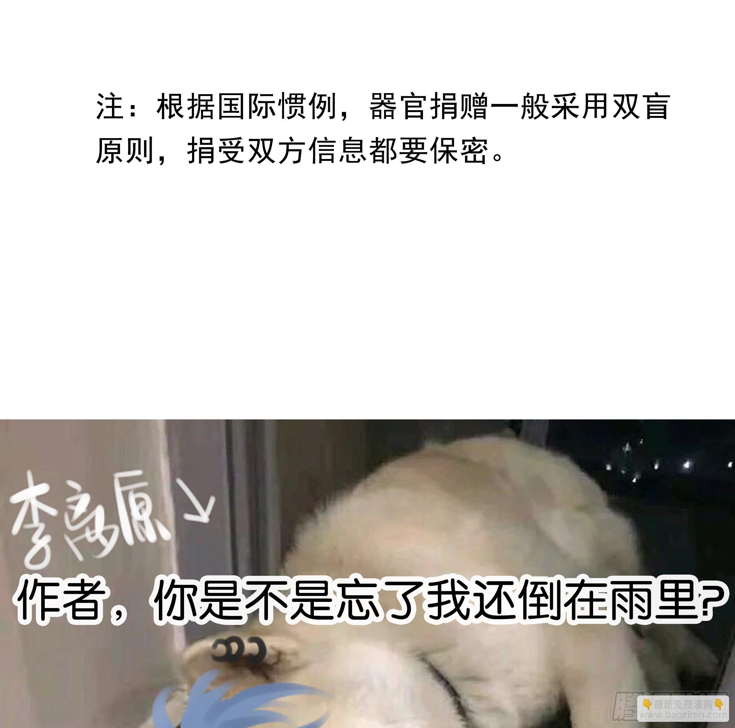 23. 属于夜的星星92