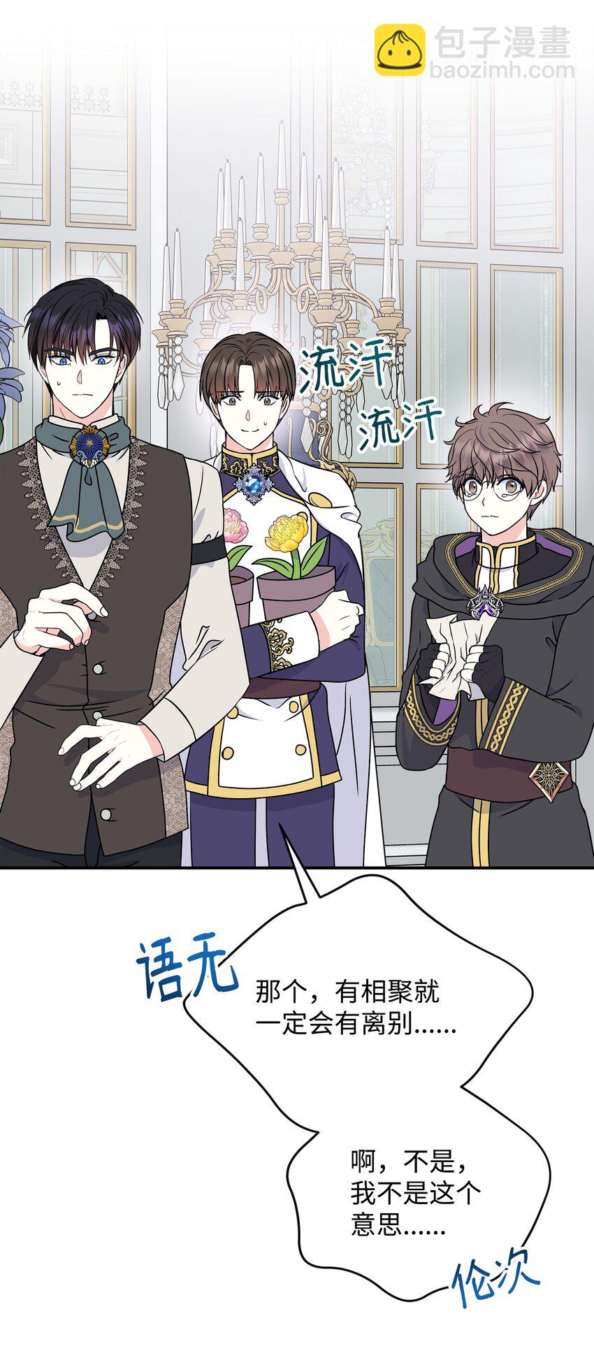 41 波尔鲁的真相41