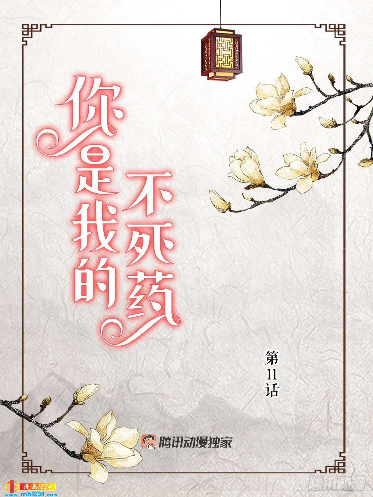 11.万儿1