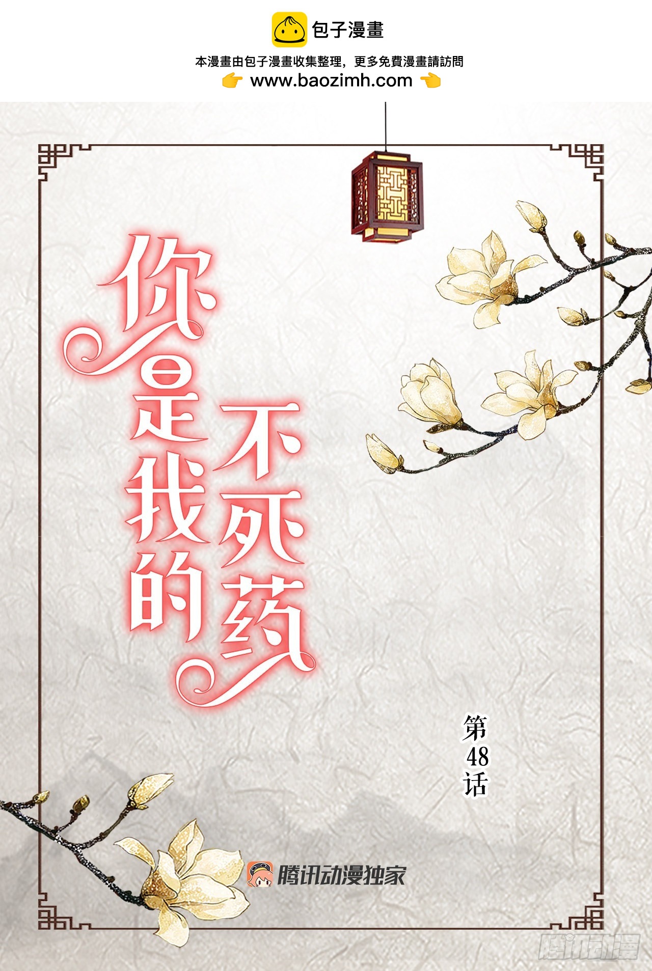 48.奶奶1