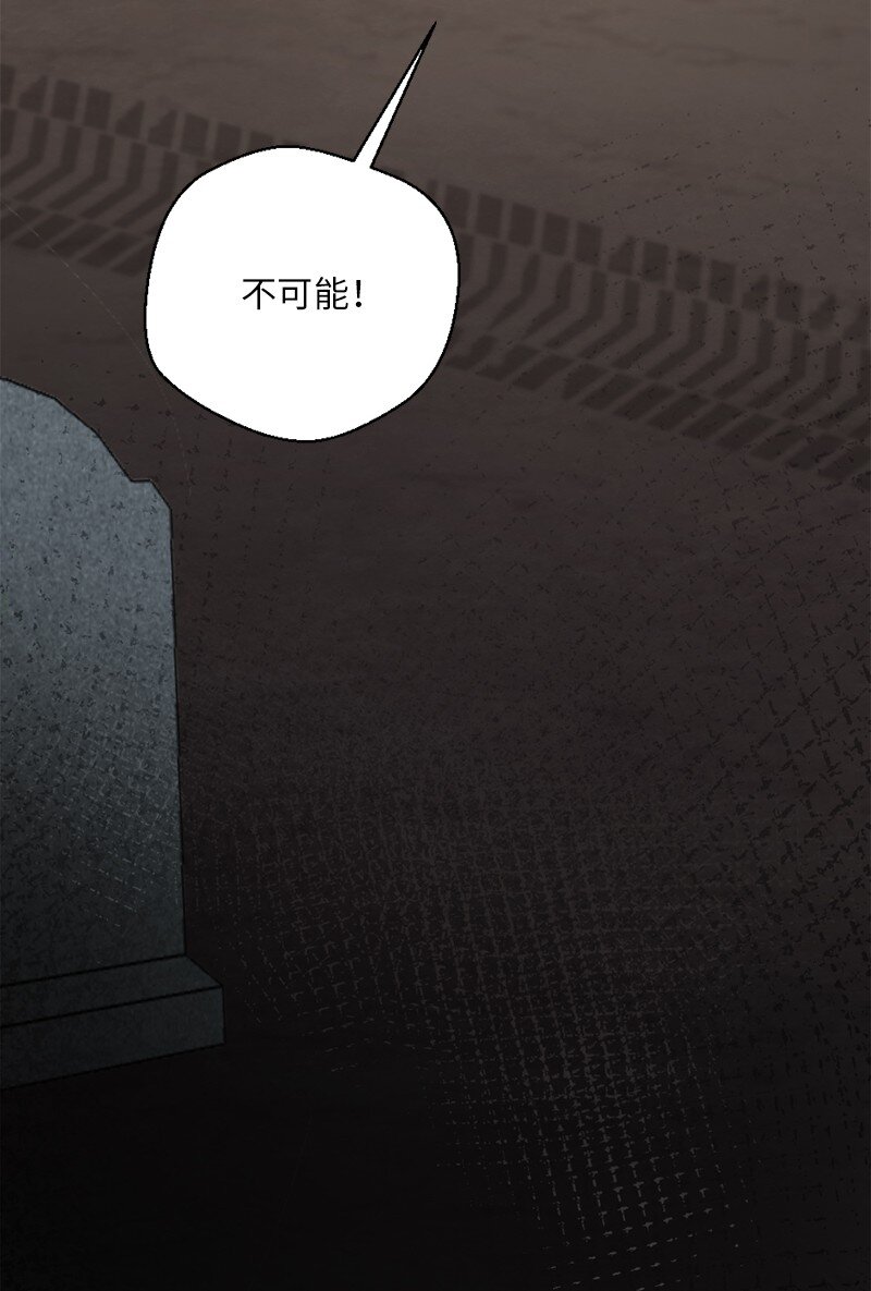 33 复杂关系和阴谋17