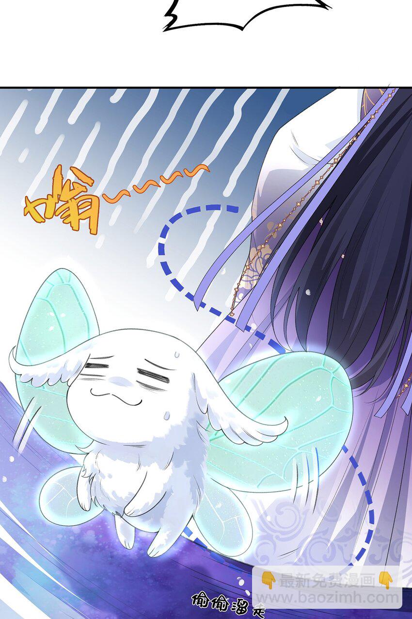 033 时旎蝶·庄周梦蝶17