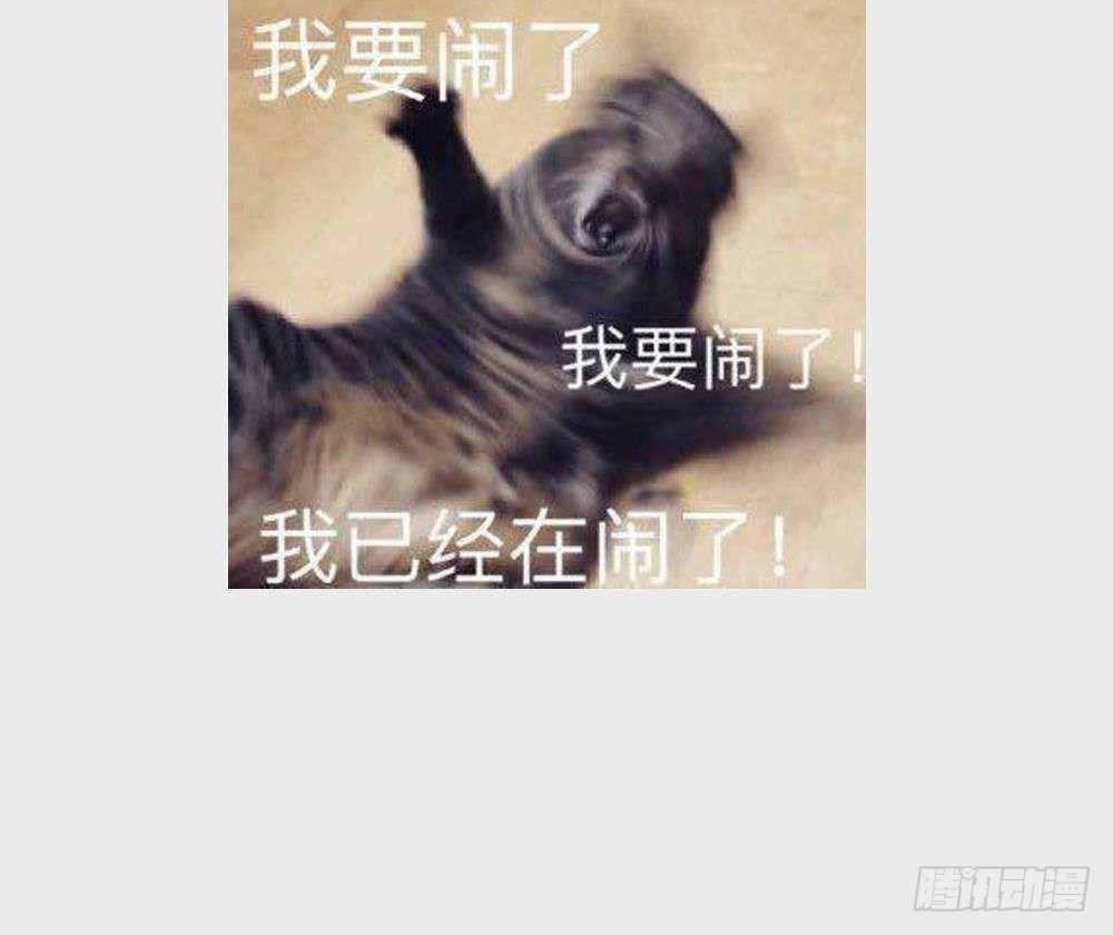 第39话 不买最好，只买最贵75