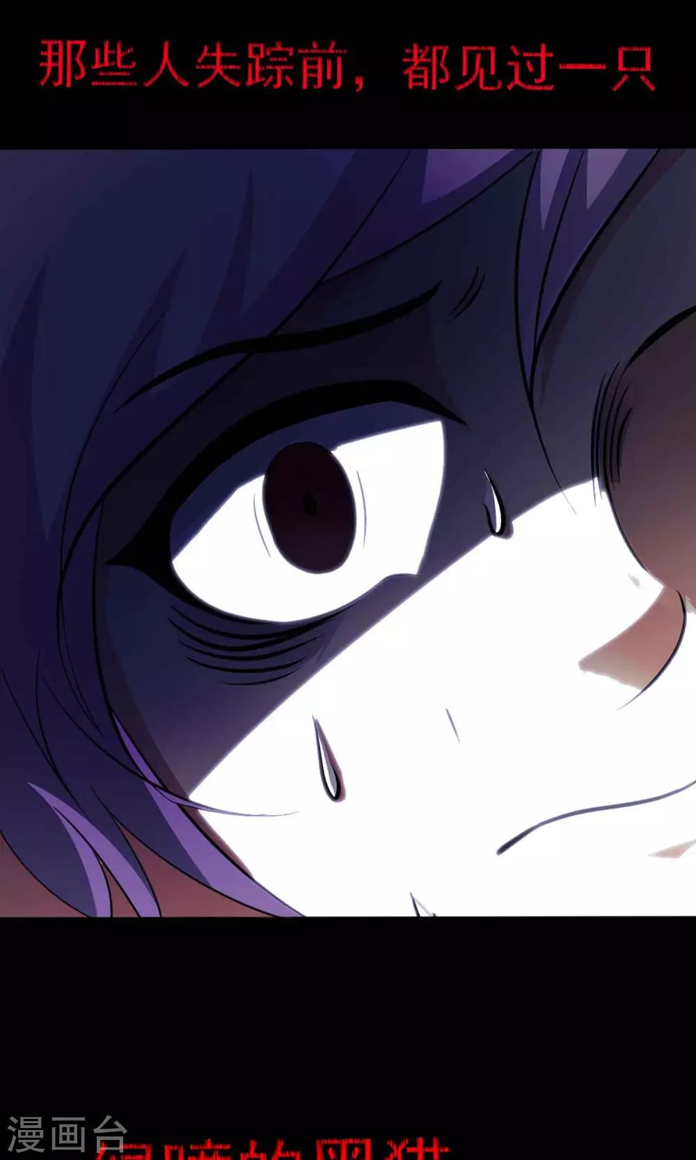 第5话 黑猫怪谈212