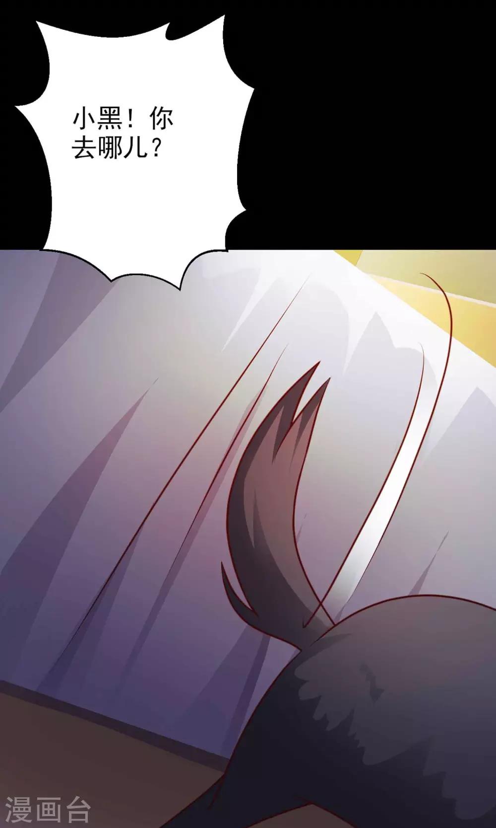 第5话 黑猫怪谈233