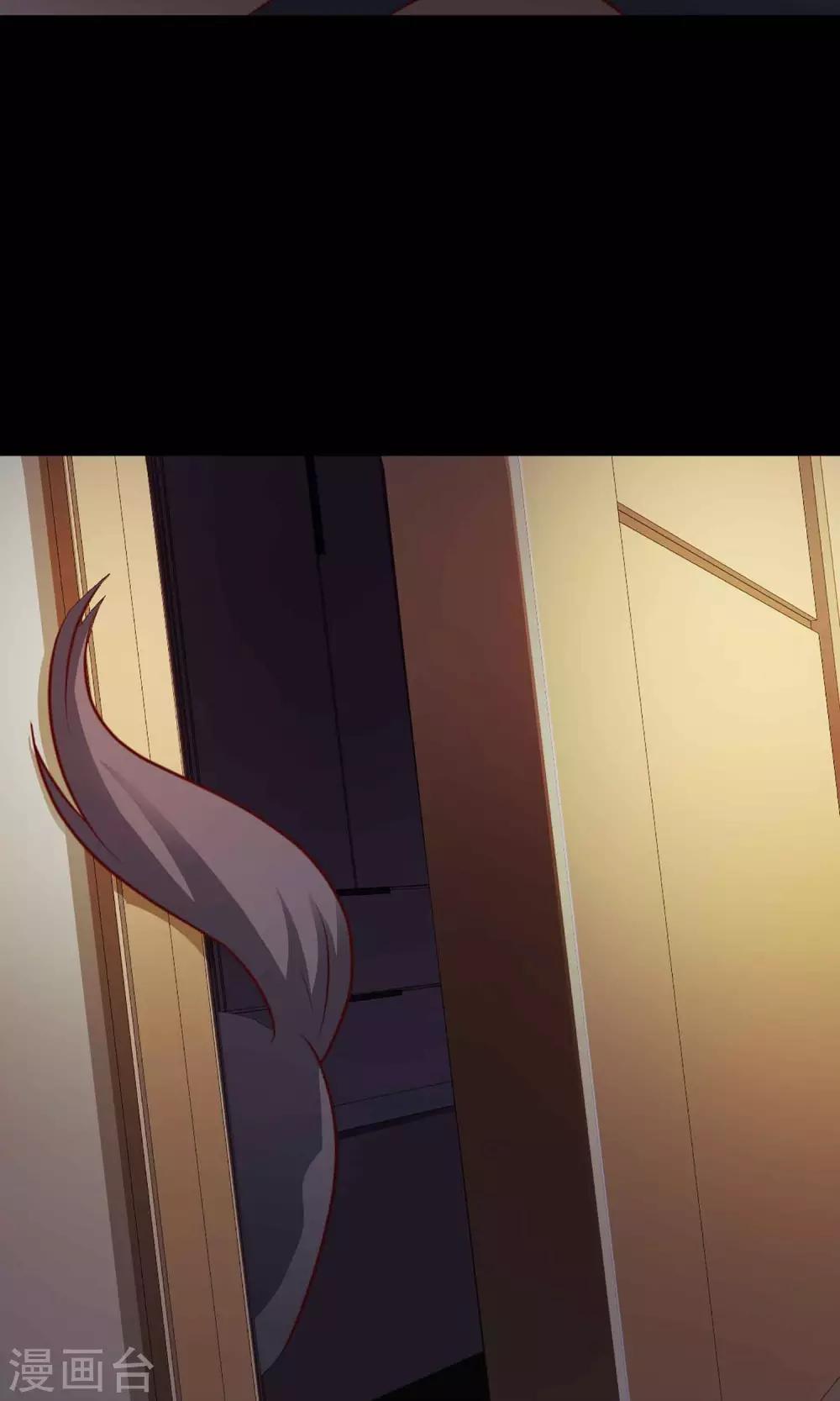 第5话 黑猫怪谈234