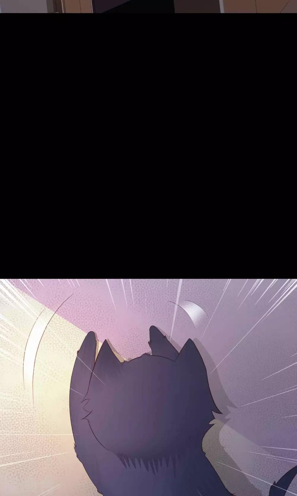 第5话 黑猫怪谈235