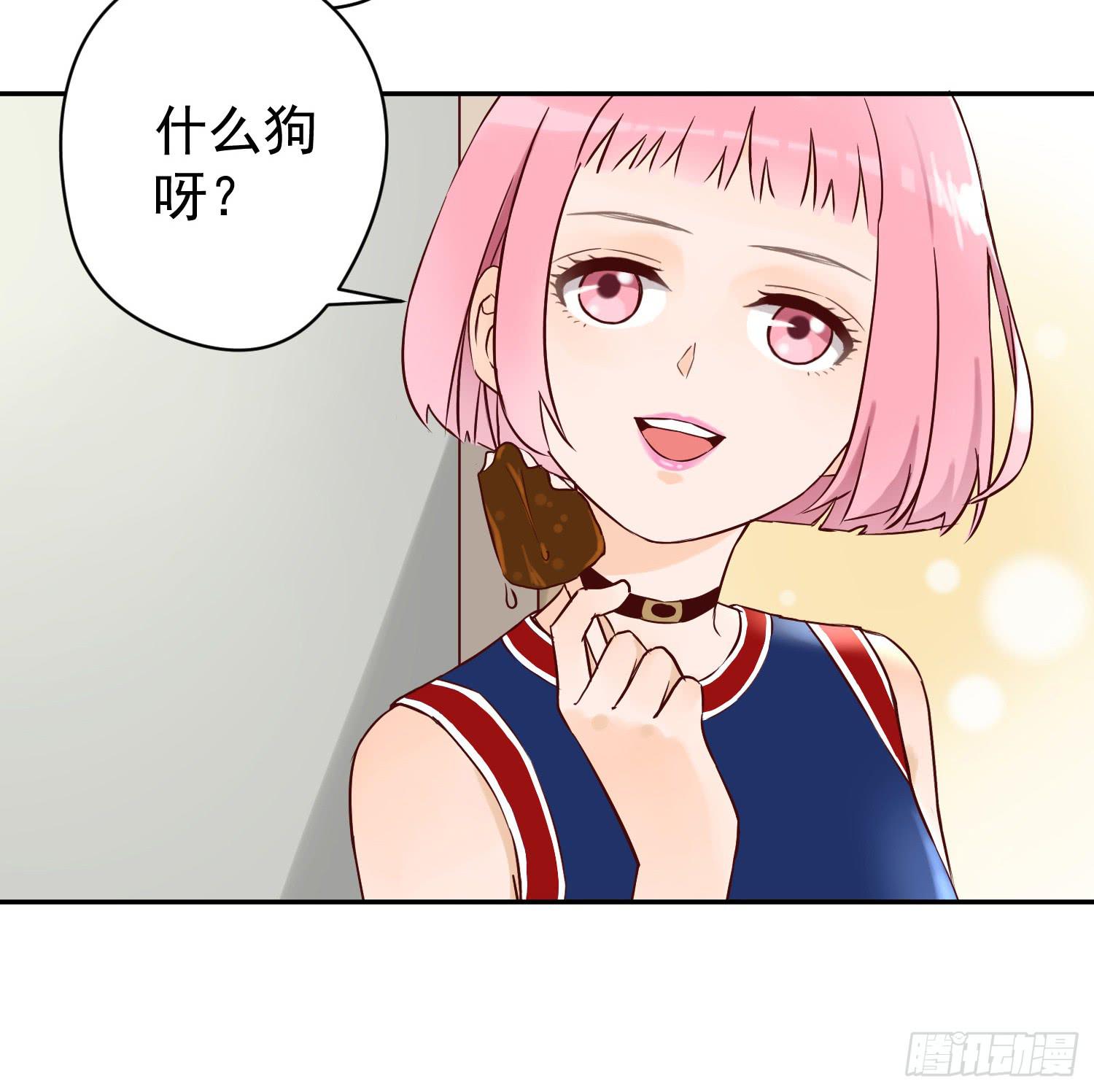 我还不如狗受欢迎16