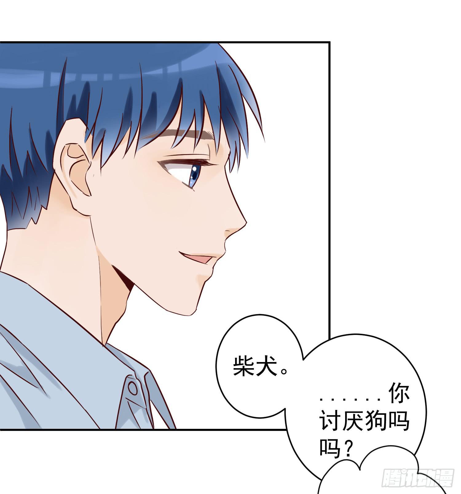 我还不如狗受欢迎17