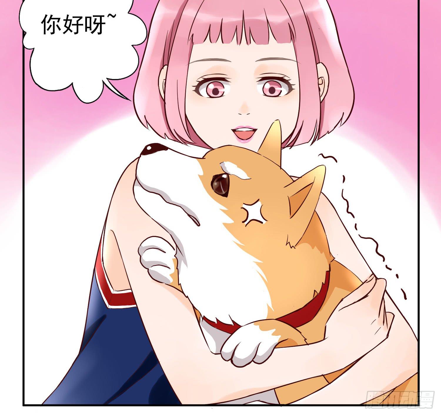 我还不如狗受欢迎52