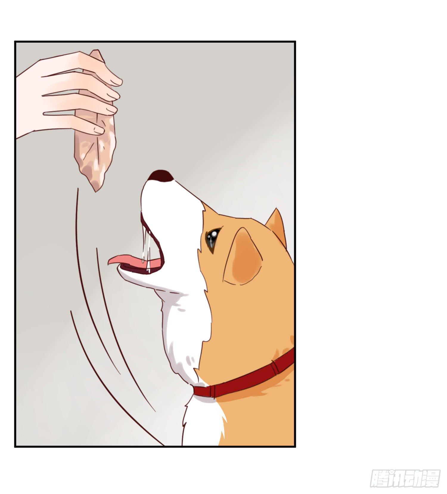 我该告诉她实情吗？18