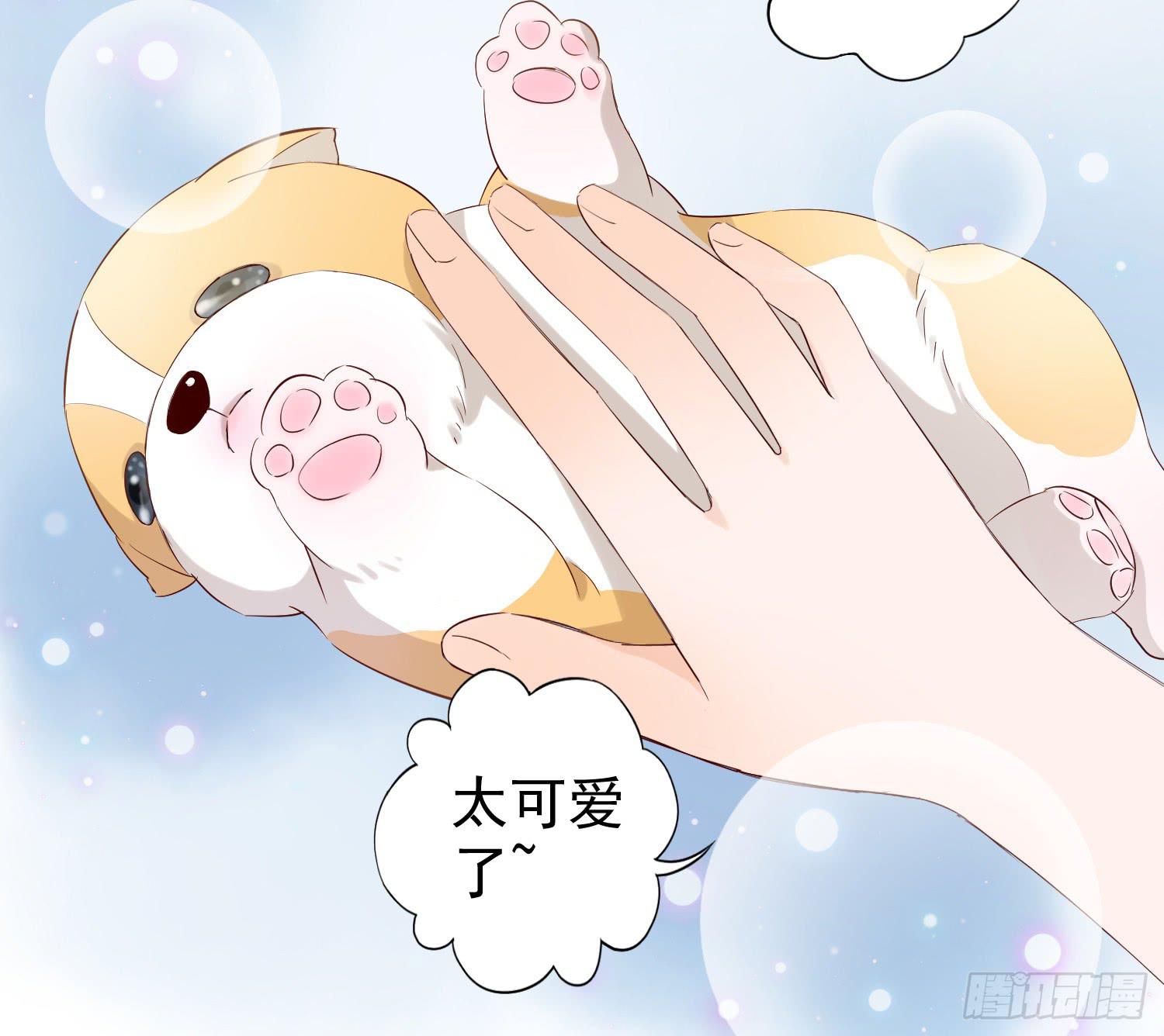 可以让我见她吗？21